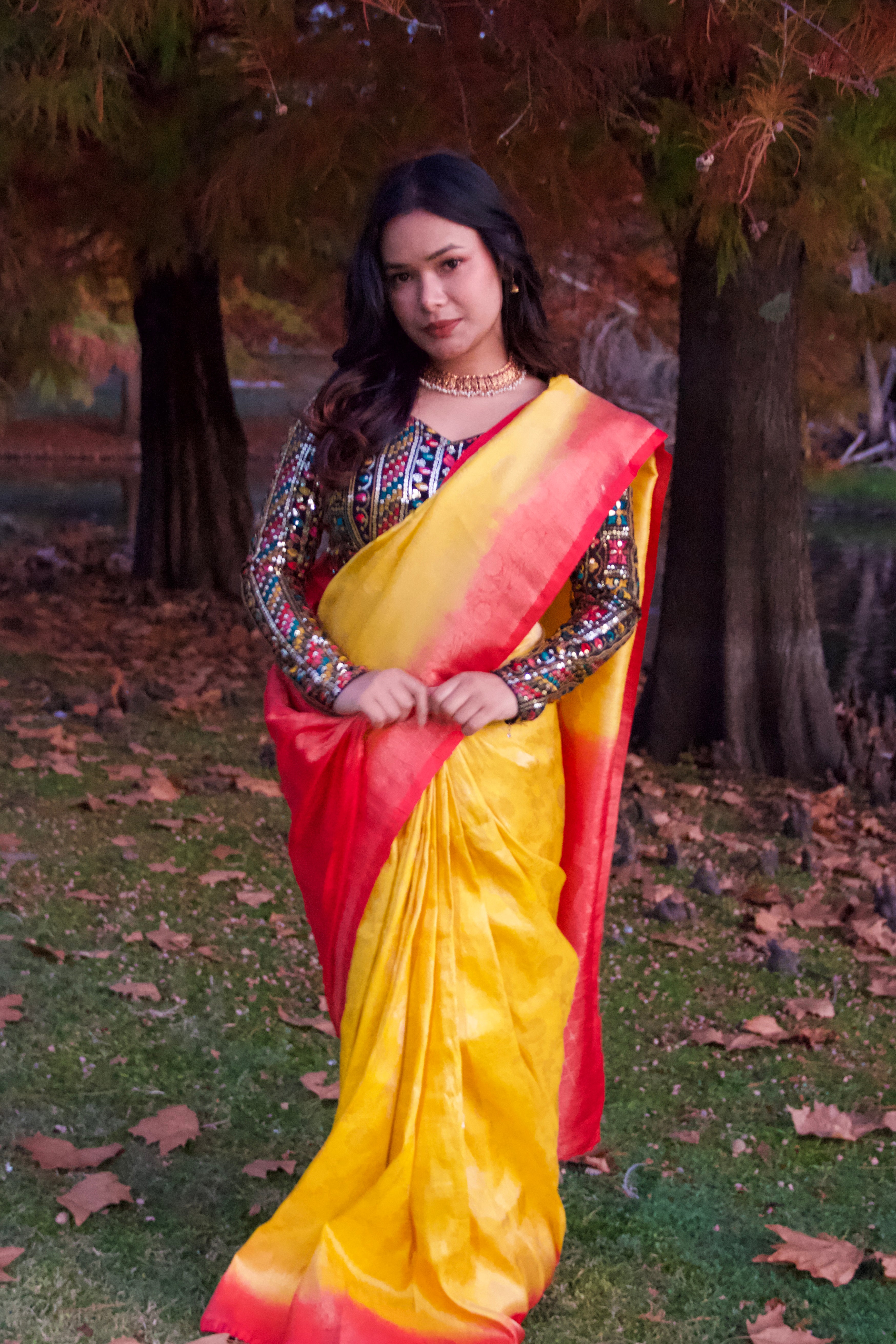 KANJIBARAM SAREE